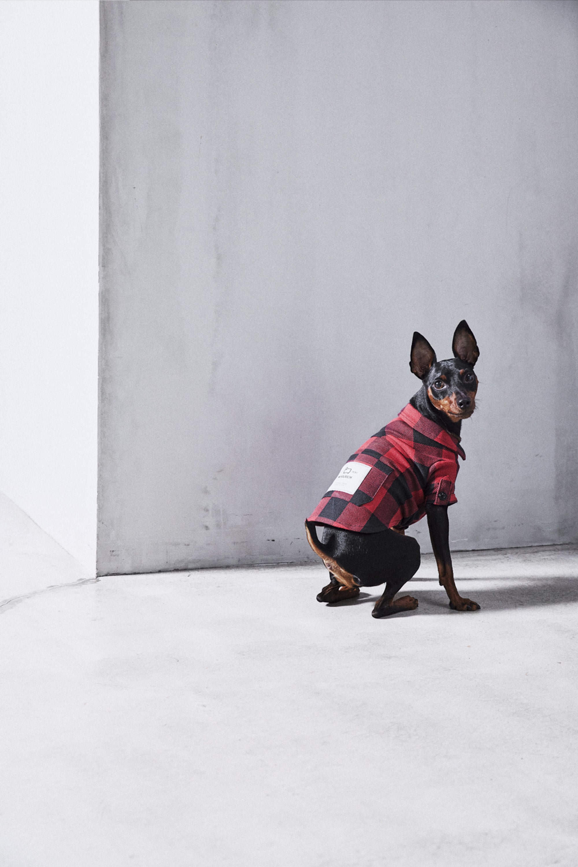 DOG BUFFALO FLANNEL SHIRT
