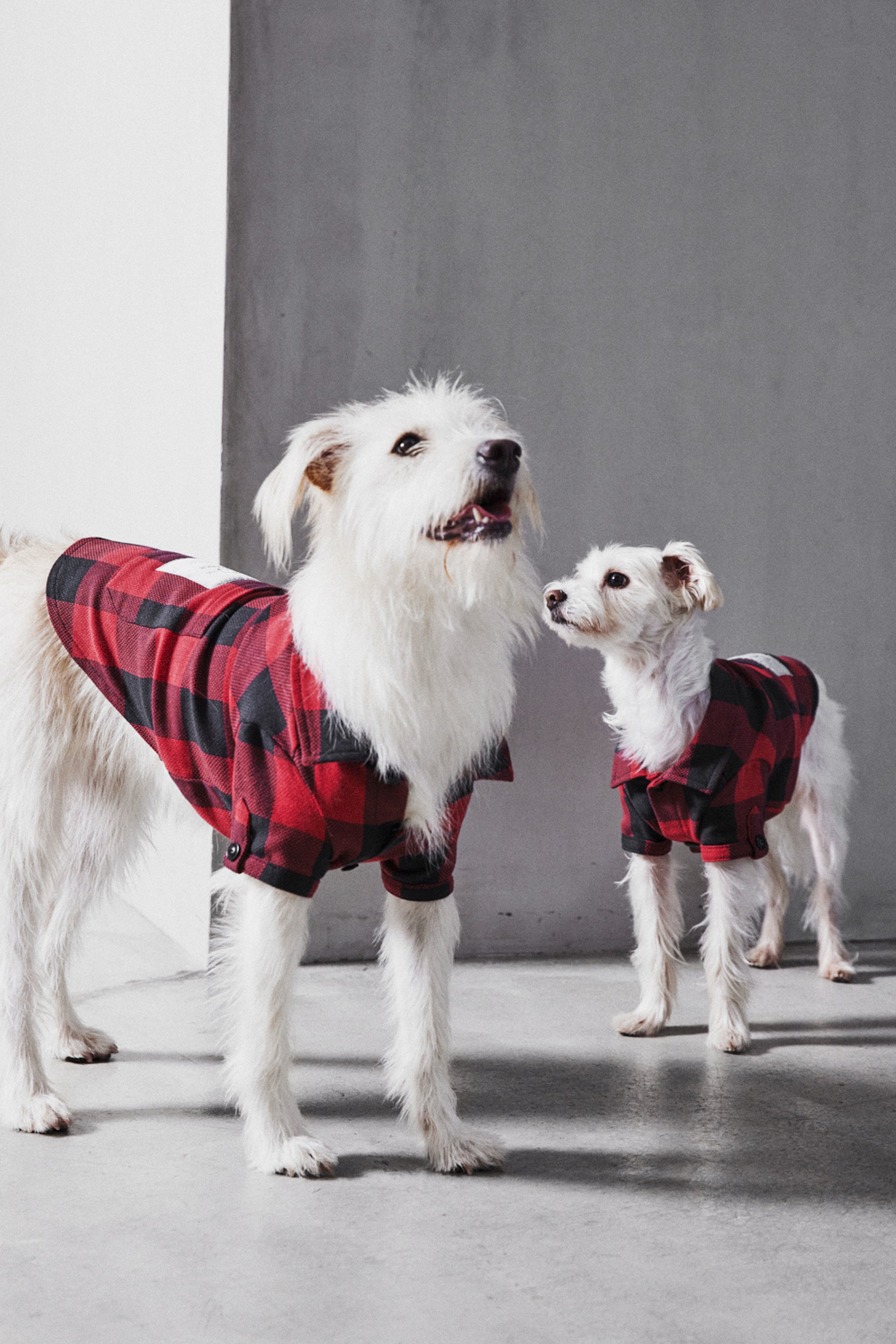 DOG BUFFALO FLANNEL SHIRT