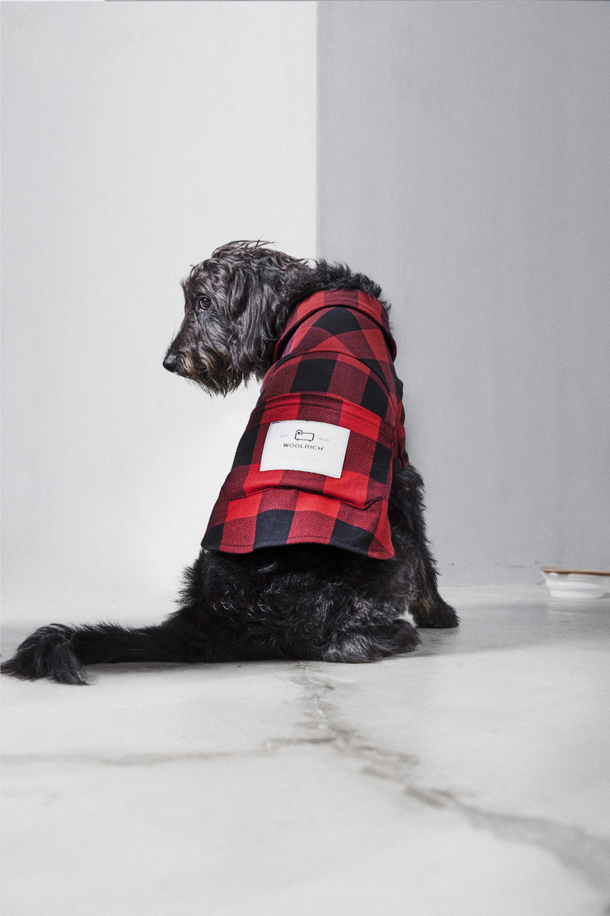DOG BUFFALO FLANNEL SHIRT