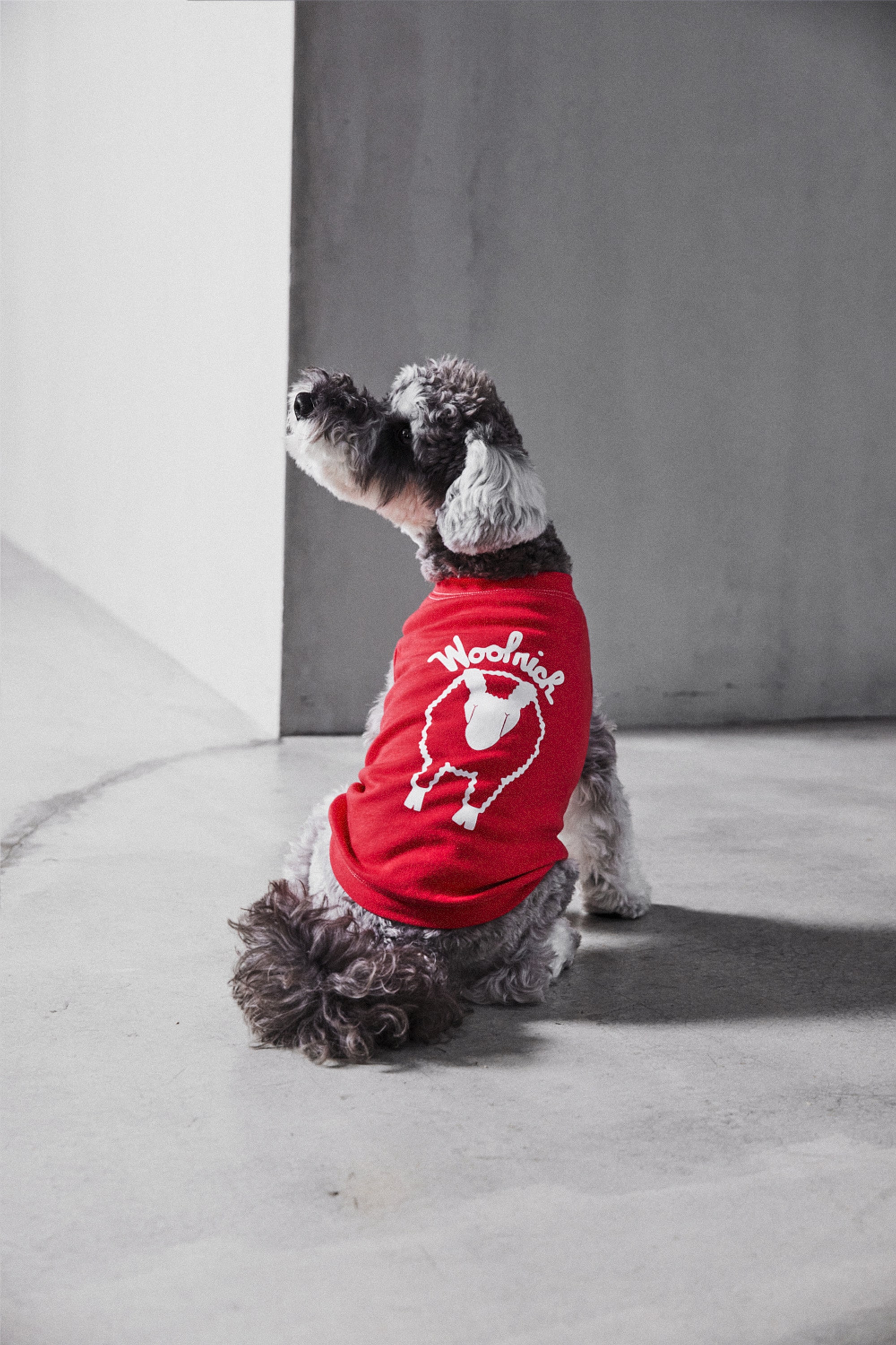 DOG GRAPHIC TEE