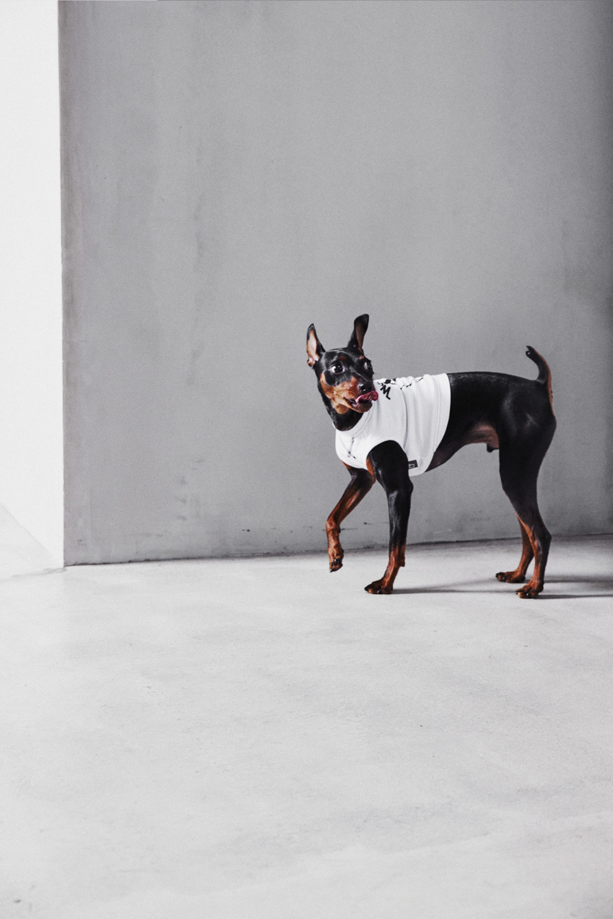 DOG GRAPHIC TEE