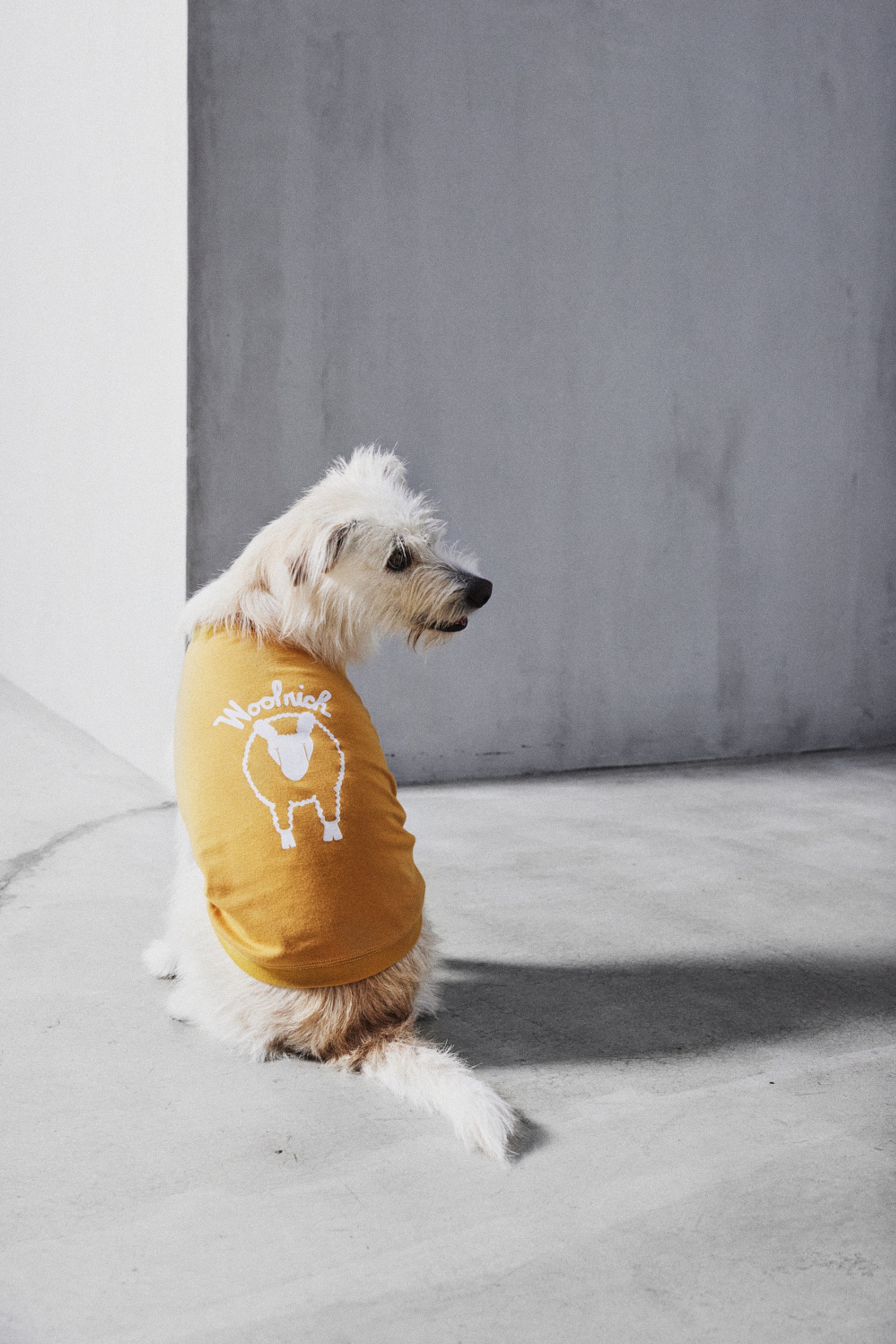 DOG GRAPHIC TEE