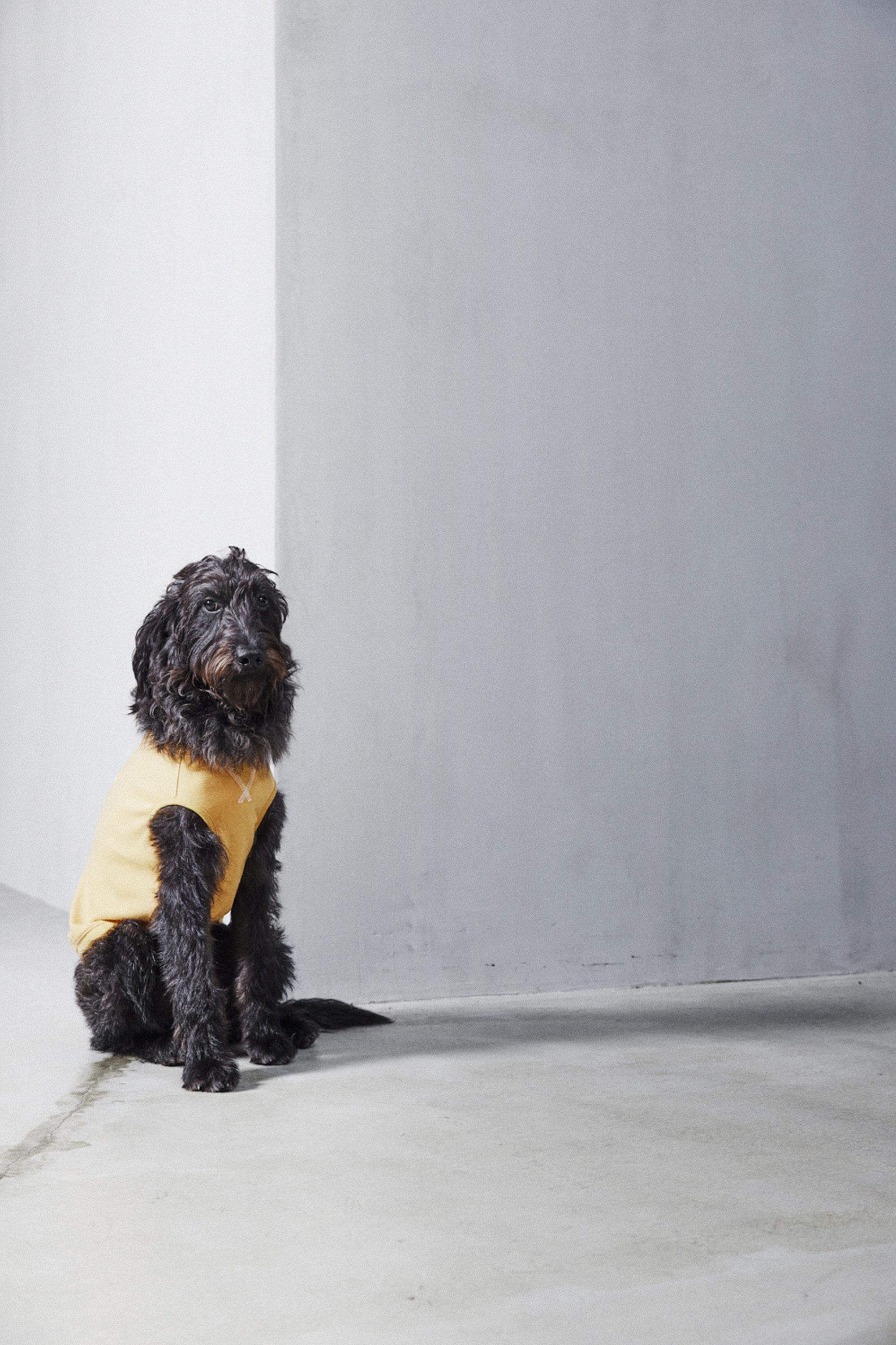 DOG GRAPHIC TEE