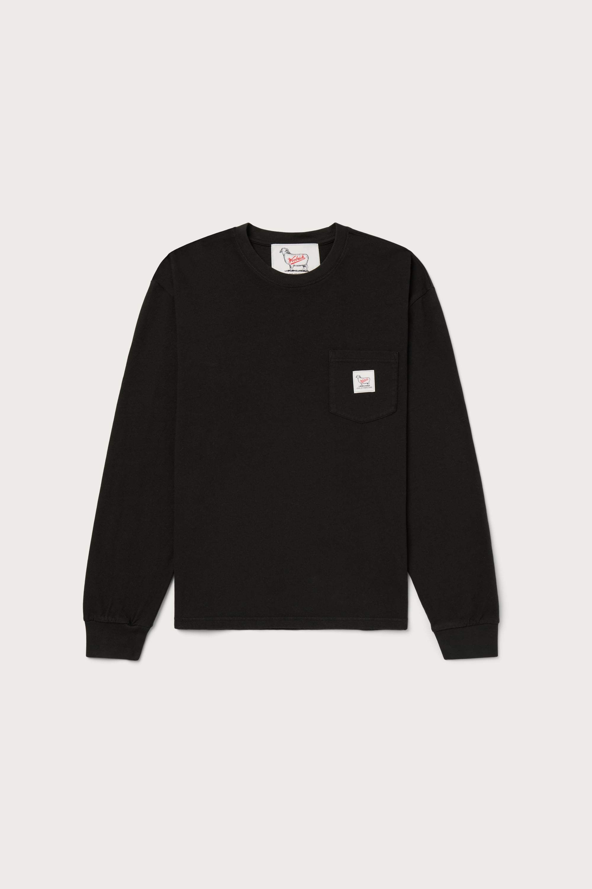 【ONE OF THESE DAYS】LONG SLEEVE POCKET TEE