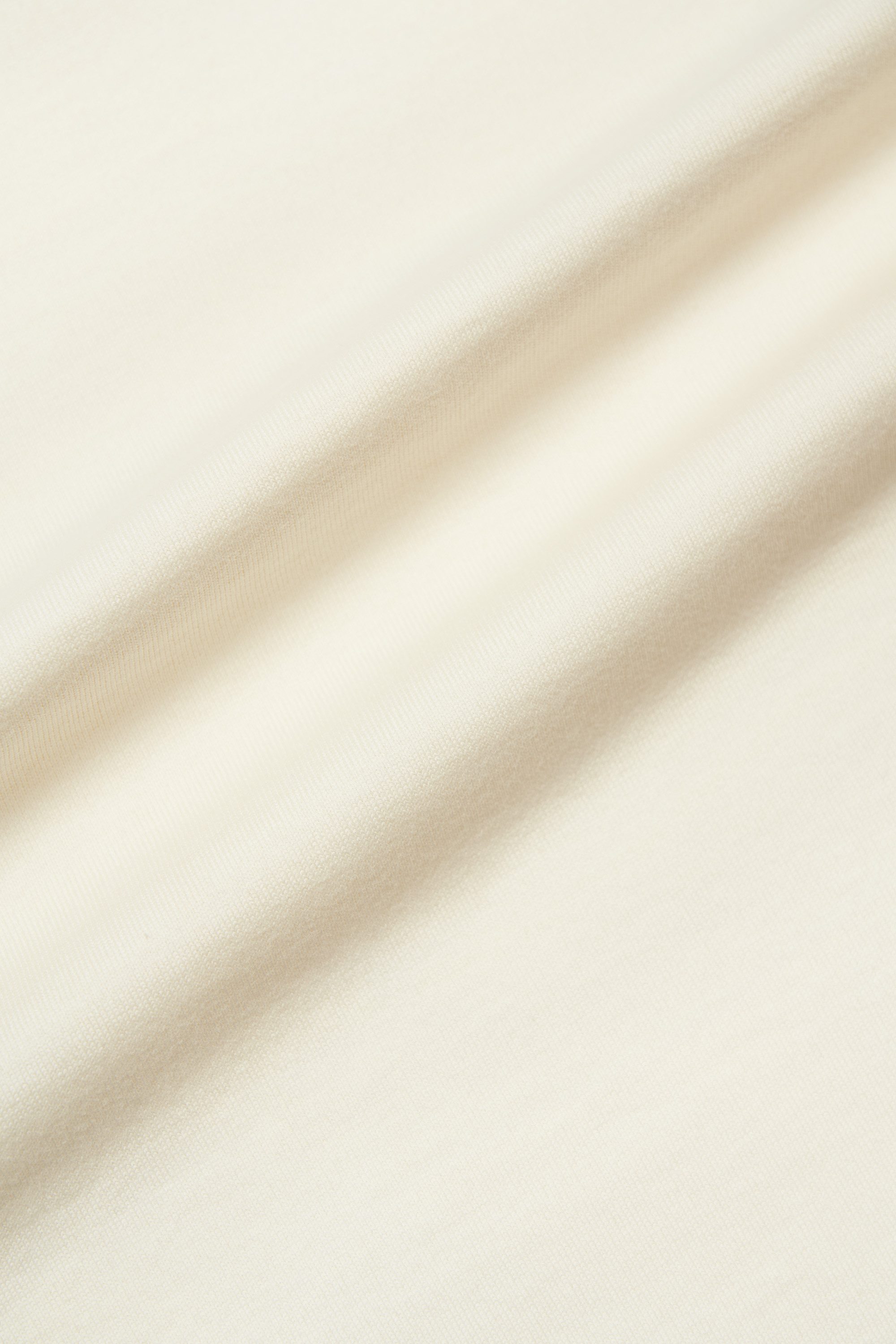 シープ リンガーティーシャツ