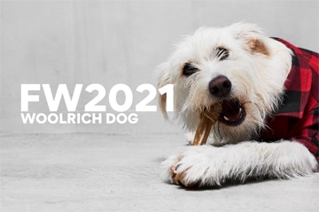 WOOLRICH DOG Collection
